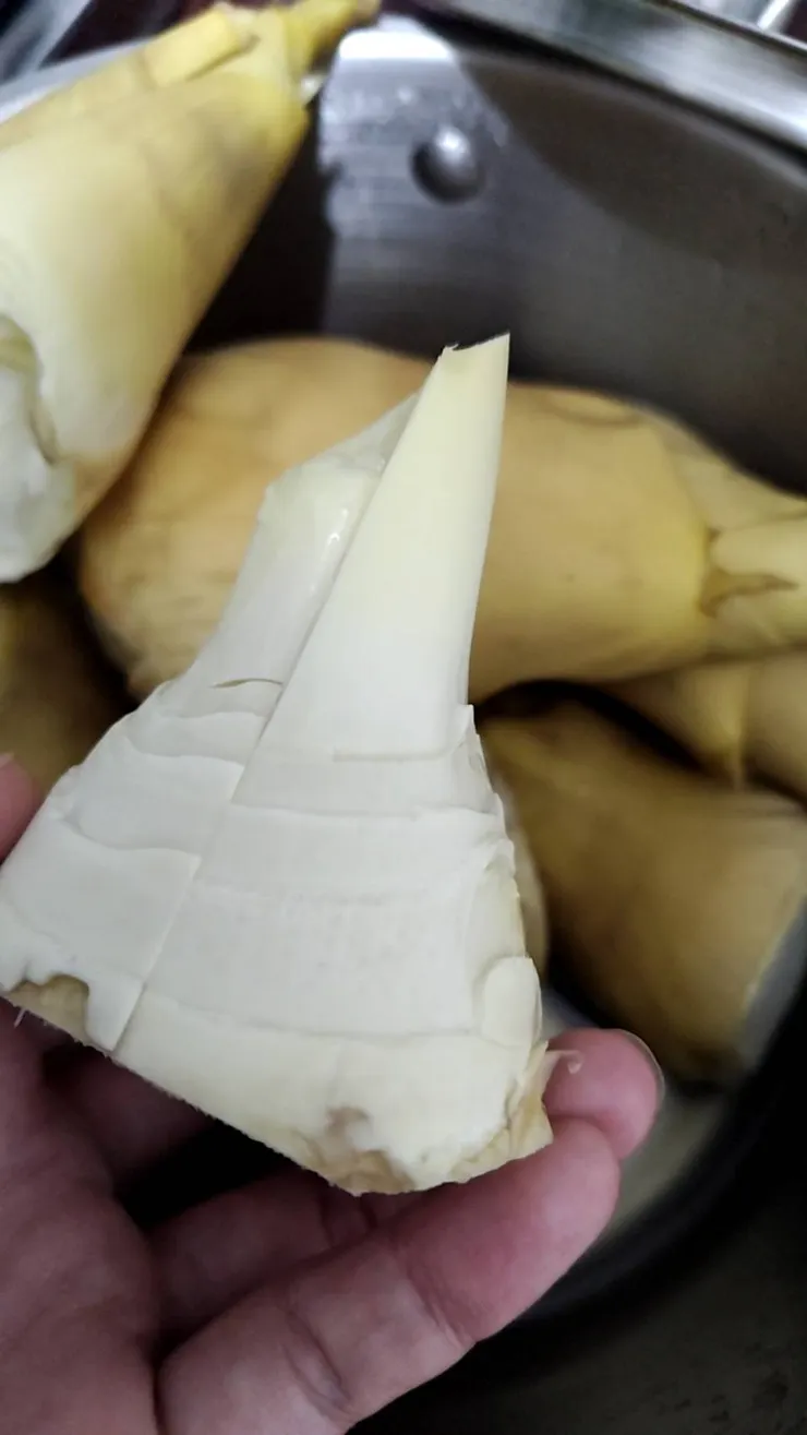 剝掉硬殼後的綠竹筍