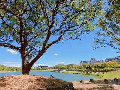 連假假期碎片🧩