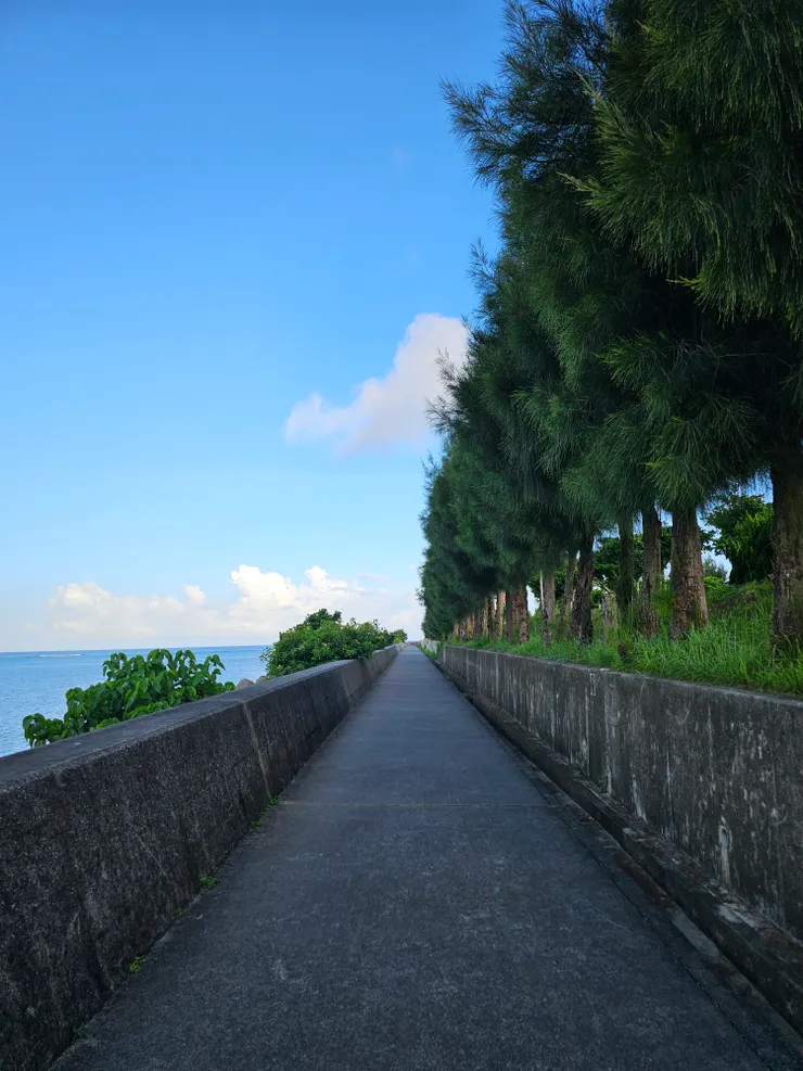 經過的路程也很美麗
