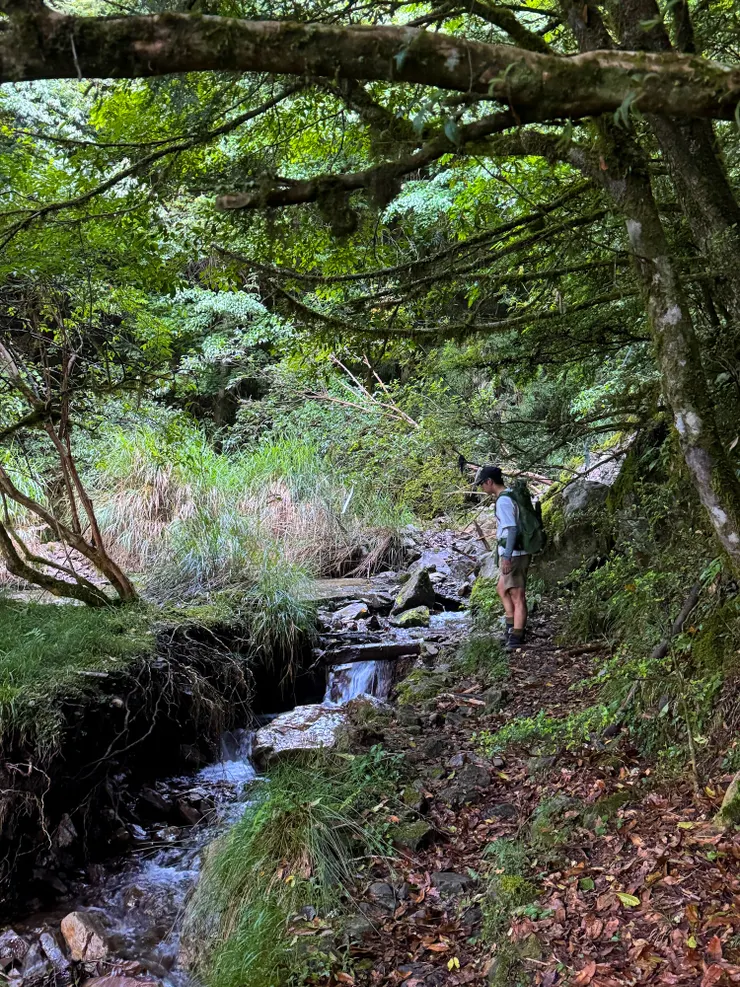 720林道平緩好走，有水源，部份山友會夜宿720林道，將秀羅馬拆二天走完。