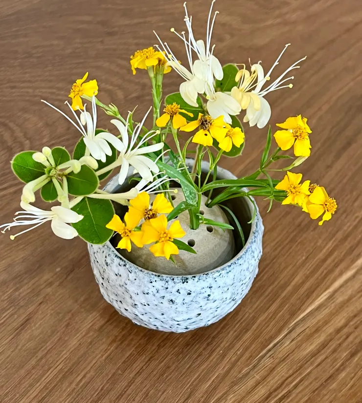 忍冬與墨西哥龍艾