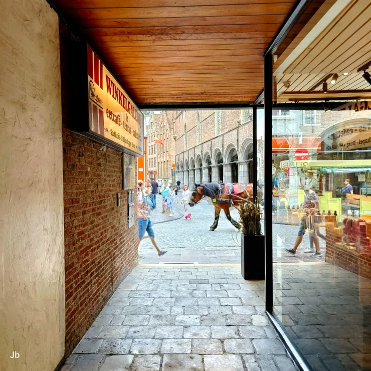 【在城堡廣場週邊晃蕩,隨時可能與一輛馬車相遇。】