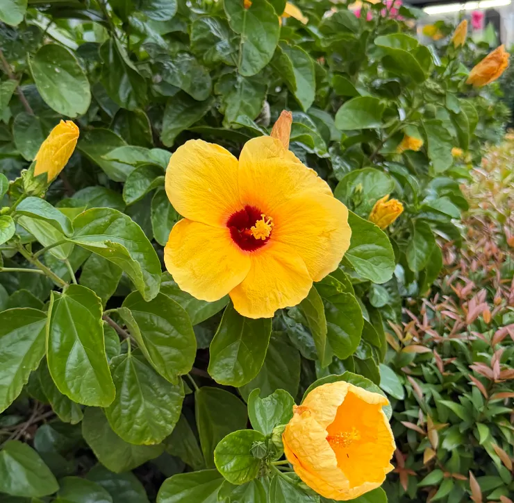 神：「看樹上的葉子，看花朵的花瓣，看人群中的臉龐，練習將它們都看作你。」