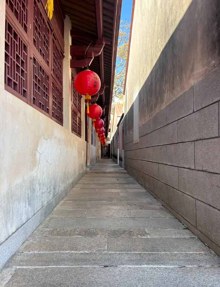 晴天就在我們仰頭方向