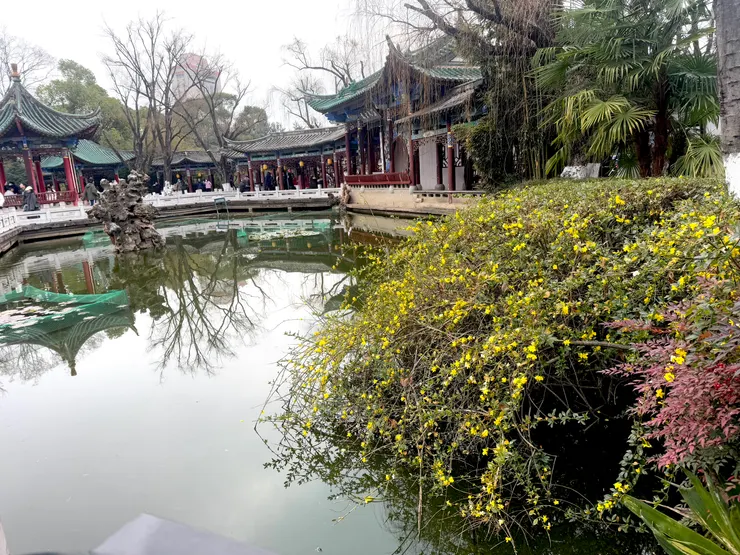 仍然可以找到幾個拍照的點