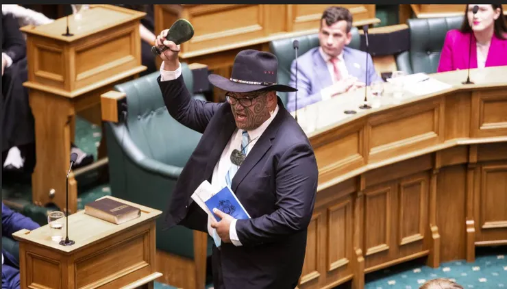 國會裡的毛利黨議員