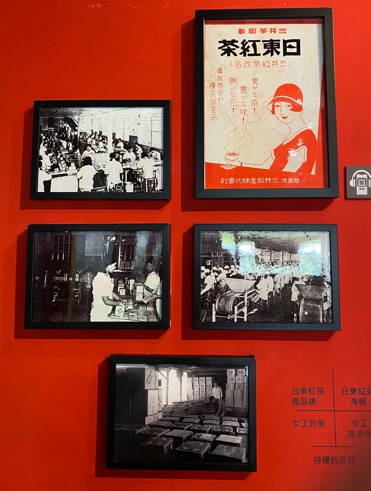 日東紅茶傳單