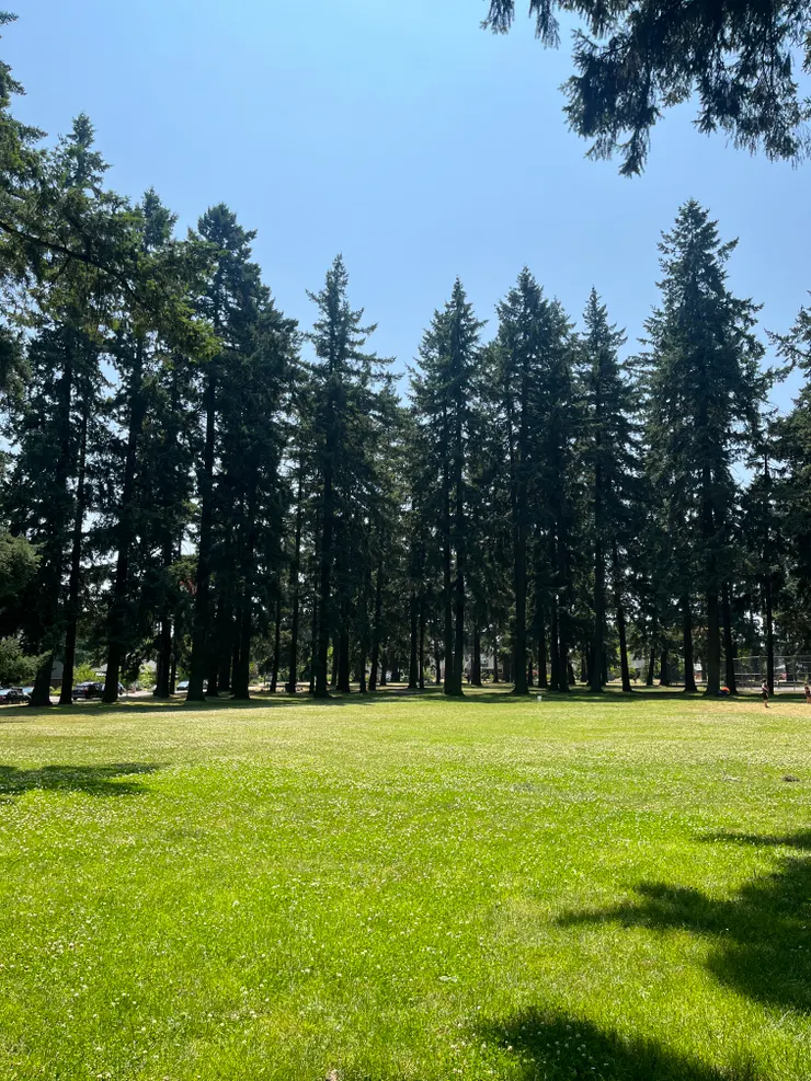 ▲美國公園都像森林一樣