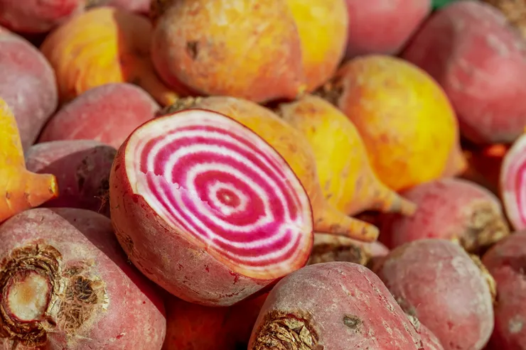 Chioggia品種的甜菜根