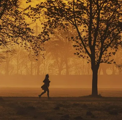 我與寫作的未竟之志