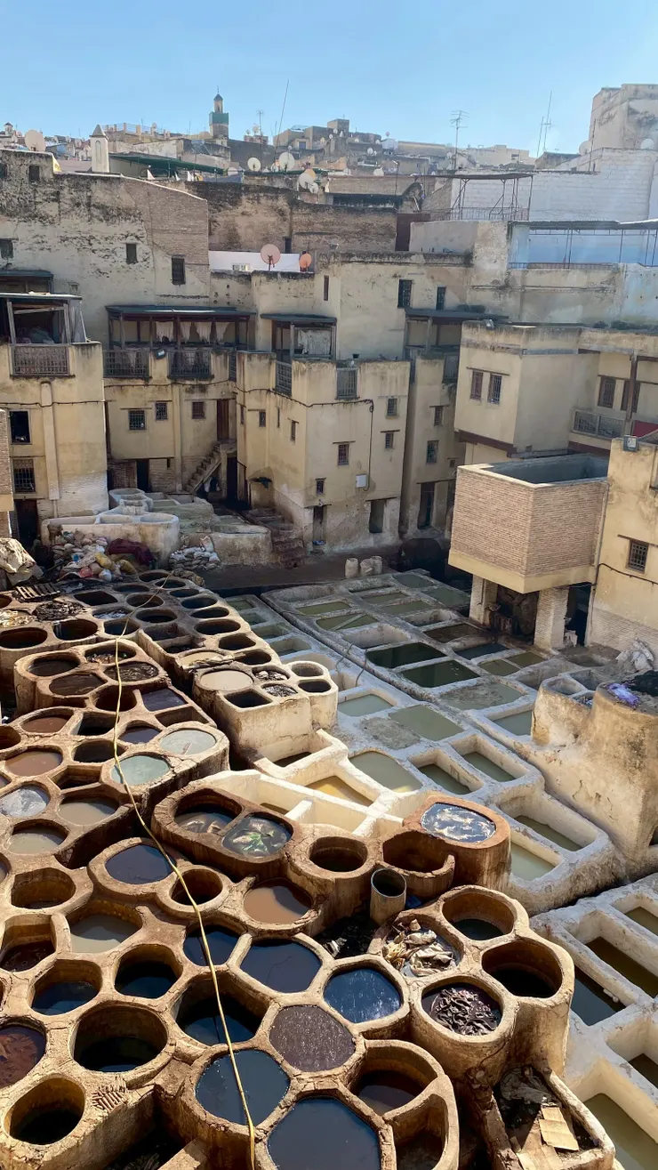 菲斯老城裡的 皮革染坊