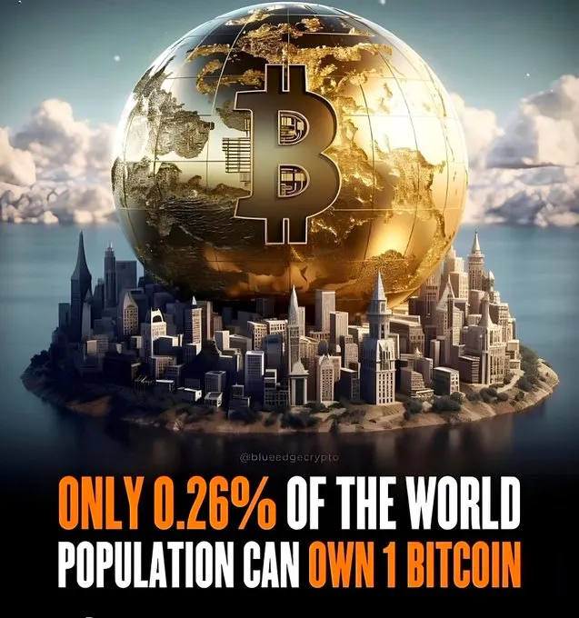 全世界只有不到1%的人擁有完整一顆比特幣