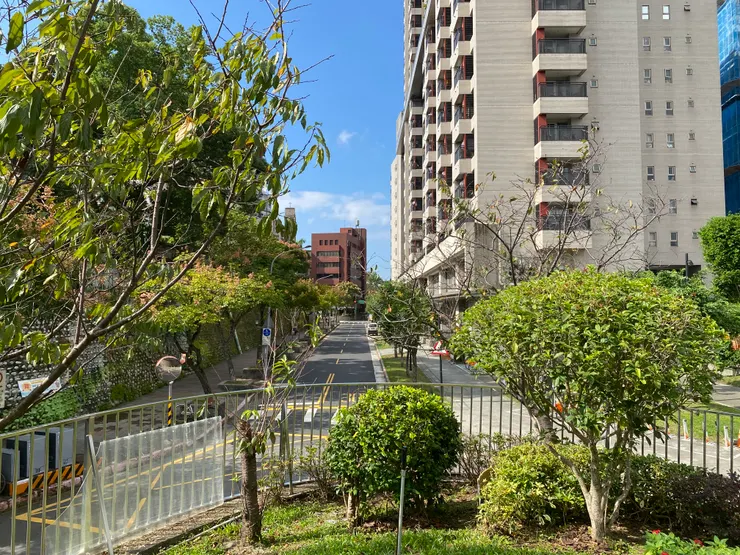 土地公廟後方的小丘平台