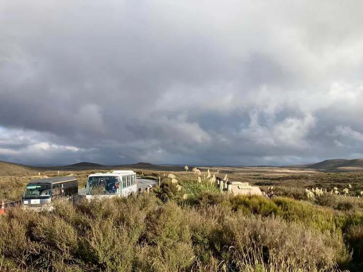 綿延不絕的各家接駁車 起點就備有洗手間