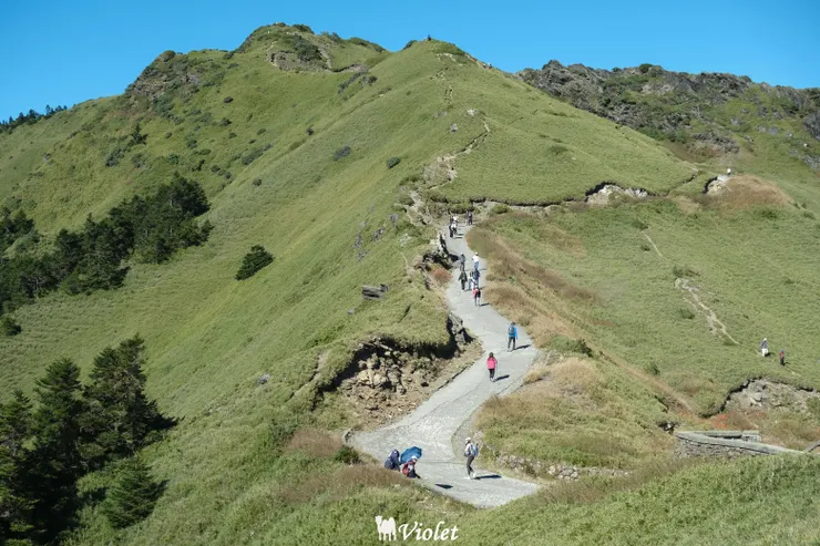 合歡山主峰步道