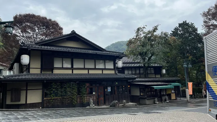 右前方那顆就是柿子樹啦。