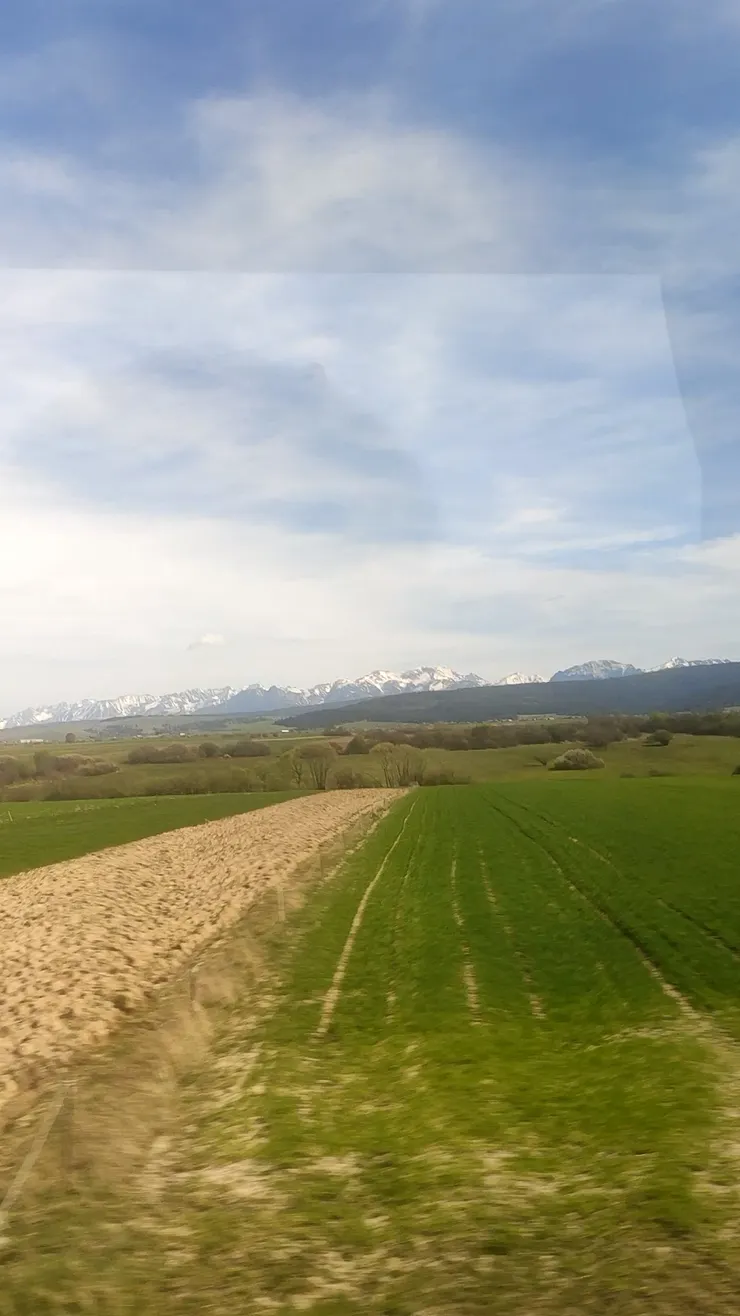 一路上都這麼美