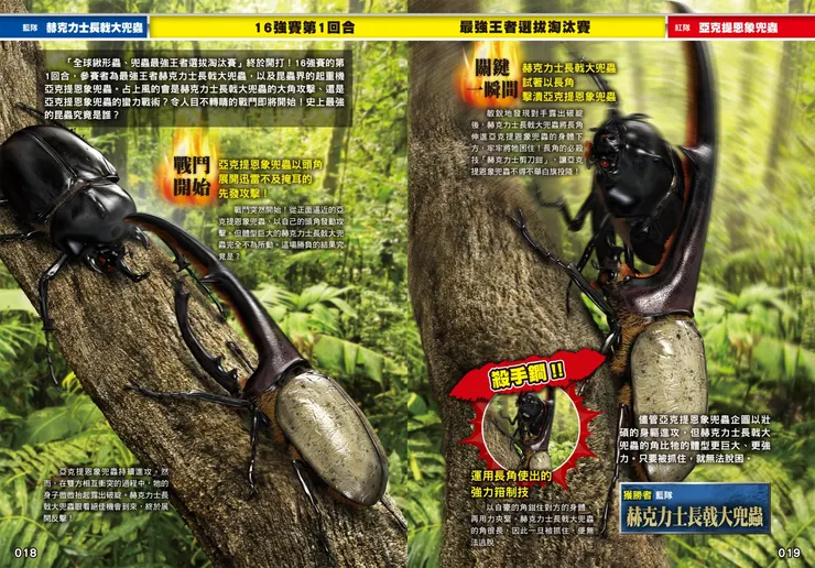 利用長角的優勢一舉打敗對手！｜《最強戰鬥２：鍬形蟲大王×獨角仙大王超級大戰圖鑑》｜小角落文化出版