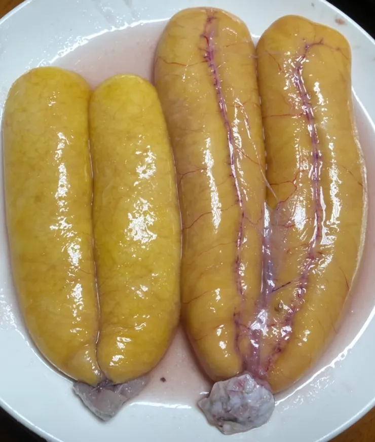 把中間血管的血輕刮乾淨