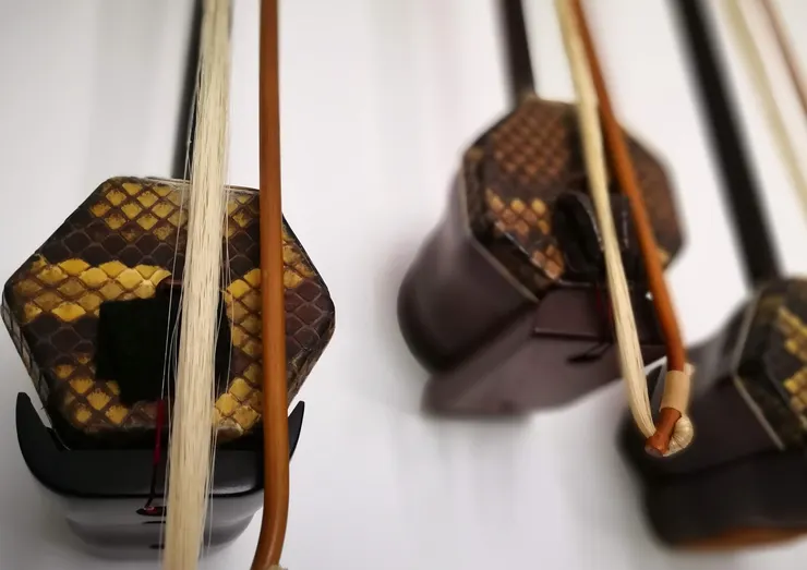 二胡的頻率極度接近人聲,二胡那種帶有微小震動(壓揉)的長音,能模擬人類在傾訴時的氣息起伏