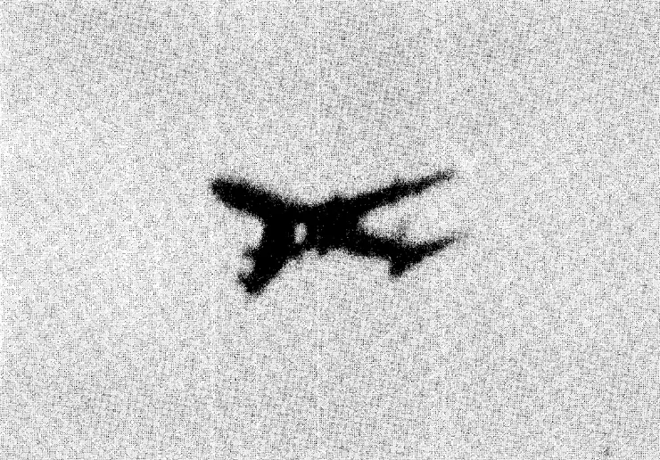 地面上所捕捉的最後飛行照片（維基百科檔案照）