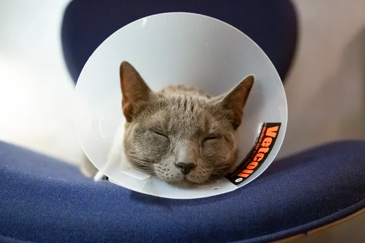 本本以最舒服的姿勢聆聽大家的熱烈分享