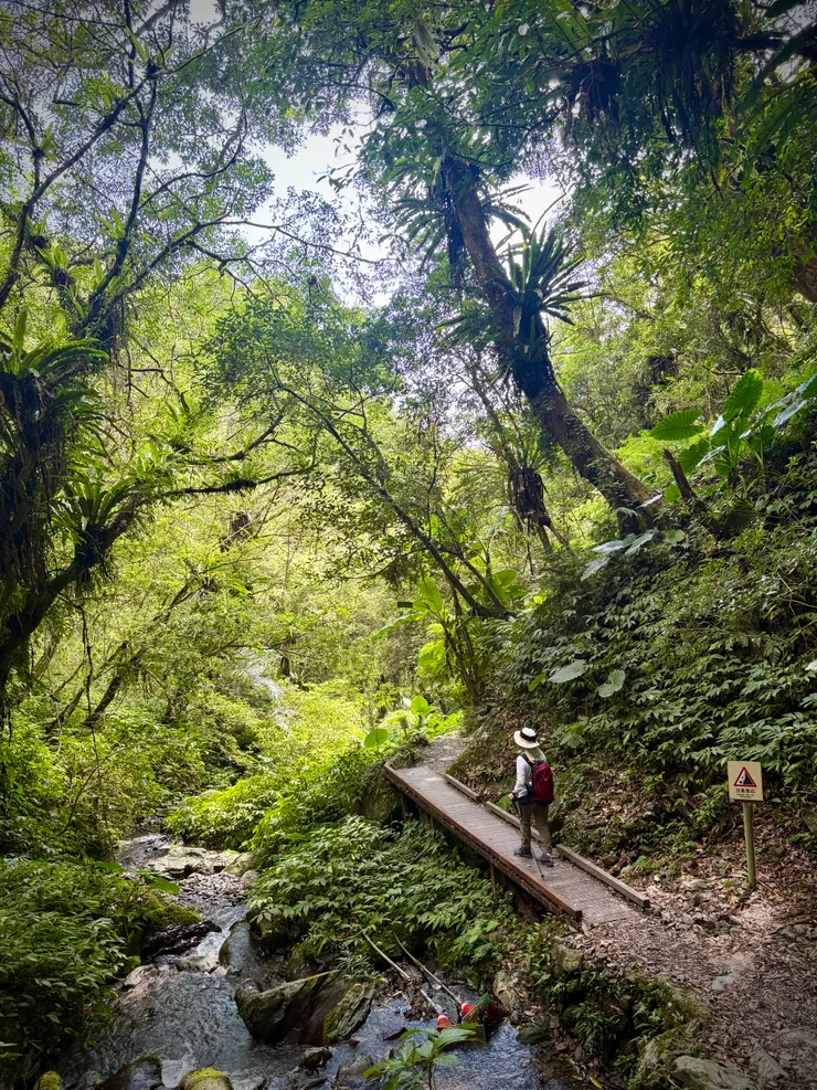 一路下坡的愉快心情