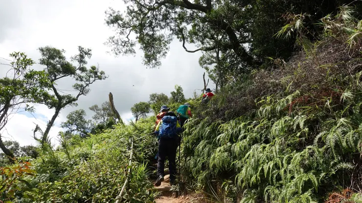 攀著繩索不放棄