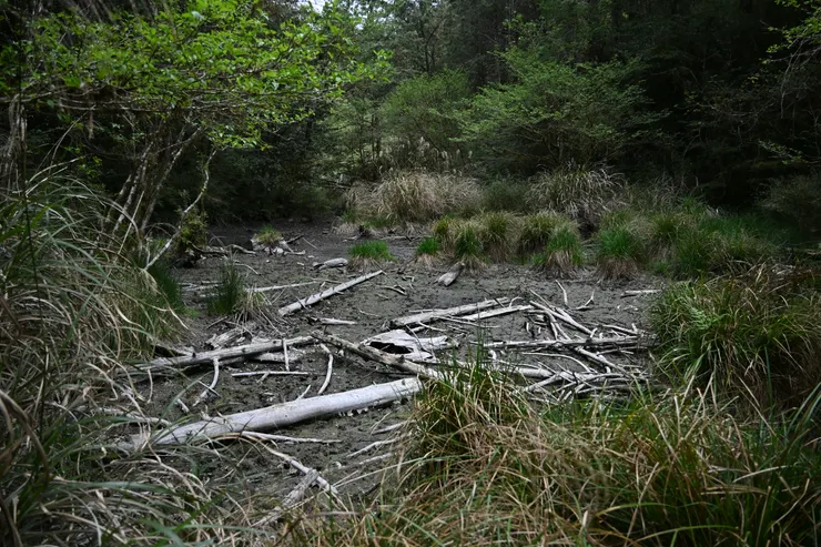 乾涸的嘉平妹池