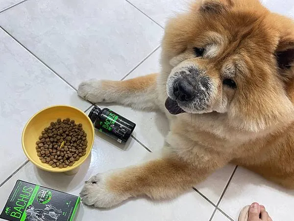 2023 新品上市「王品寵物」-BACHUS瑞士巴吉斯保健錠