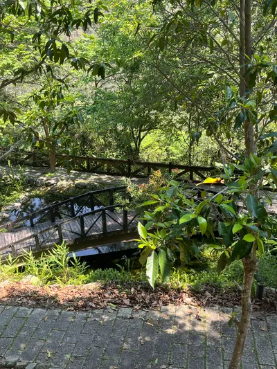 八仙山旅遊：森林篇