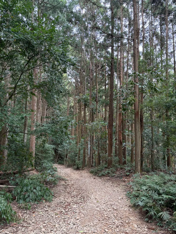 一路上升的碎石路面