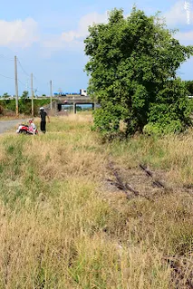 向左岔出的道岔(向北拍)