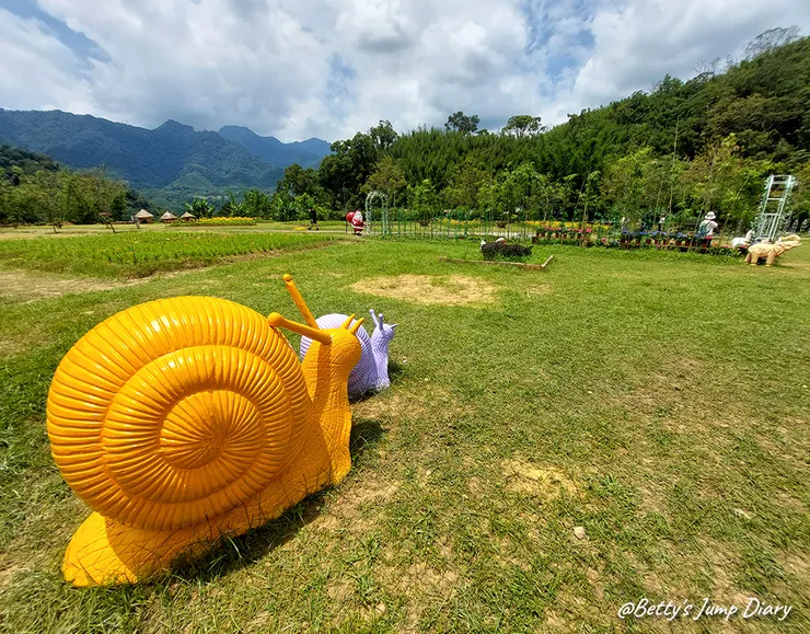 ▲2025花現台七「桃園繡球金針農遊趣」/ 圖片來源：Betty's Jump Diary