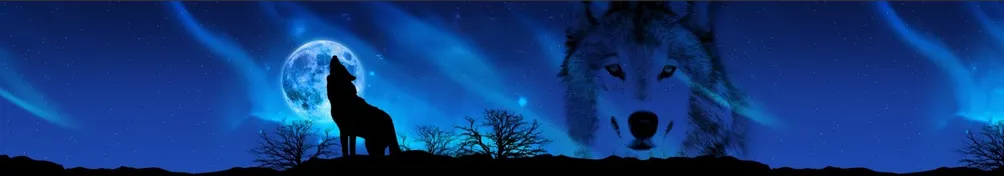 人狼屋的電影珍奇櫃