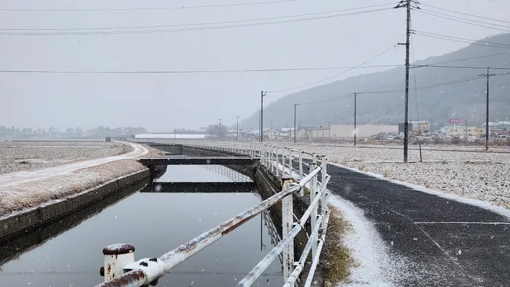 鄉間小路也都染成白色了
