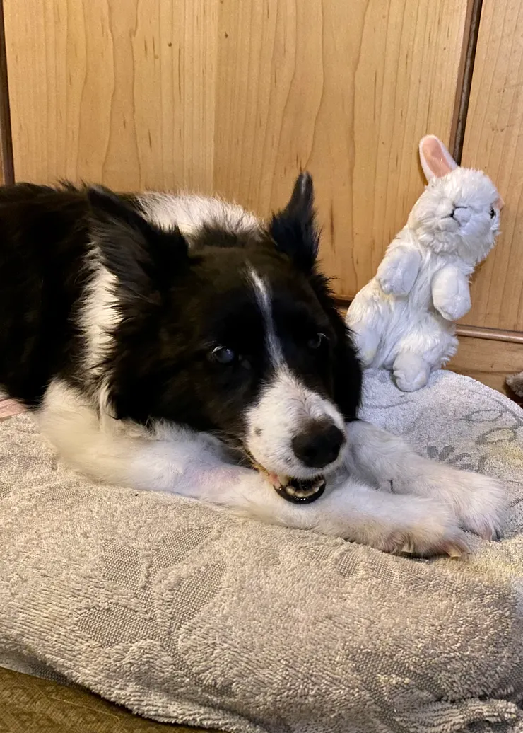 Evelyn覺得一起在佛堂打地鋪很有趣