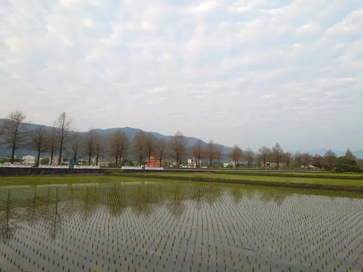 宜蘭的鄉下，像歐洲一樣美麗