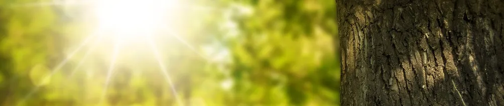 療癒紀錄分享 ❤