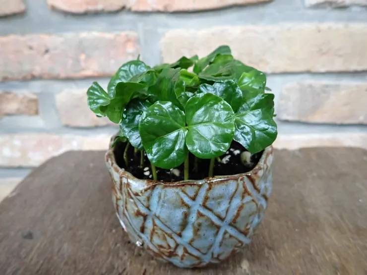 淡水社大114.04.16