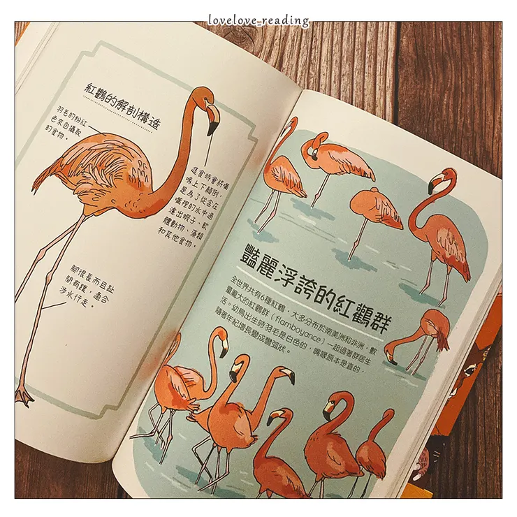 動物生態解剖書：揭祕世界各地野生動物的奇妙習性與生活