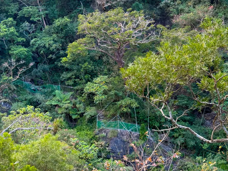 對岸好像是下山回登山口的溪谷線