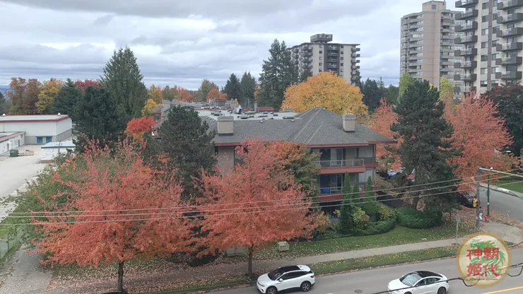 2025年10月26日-秋冬乾冷的楓紅街景-