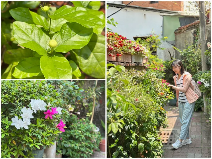 當初居民為了美化環境種植的花草，如今成了鬧中取靜的好所在