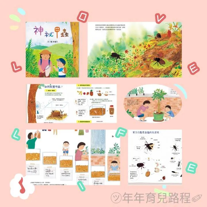 許增巧-神祕甲蟲