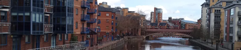 Career Coach Serene的沙龍