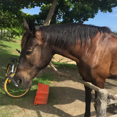 Jenny珍珍的沙龍