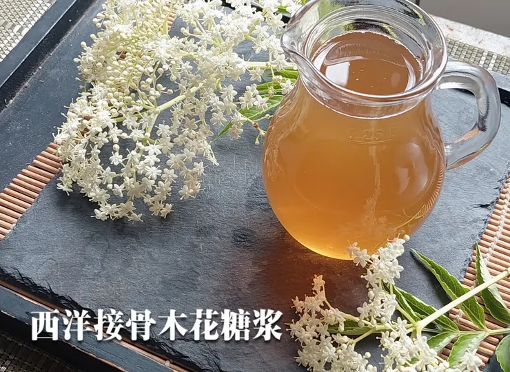 近年來被網路推播得如火如荼的西洋接骨木花糖漿