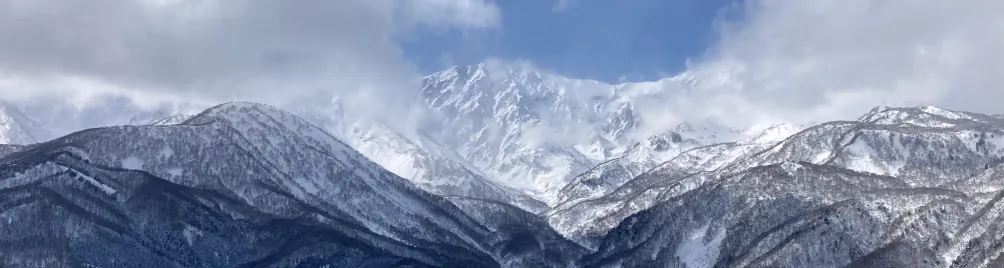 Avery's Wonderland的沙龍