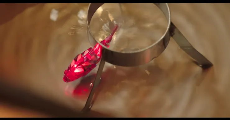 可愛的玩具小海豚也成了奇怪宗教儀式的一環